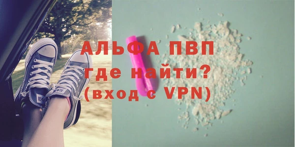 стафф Алзамай