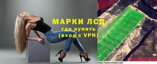 стафф Алзамай