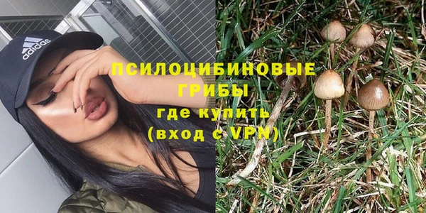 стафф Алзамай