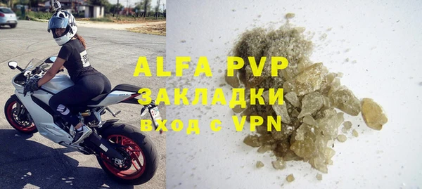 стафф Алзамай