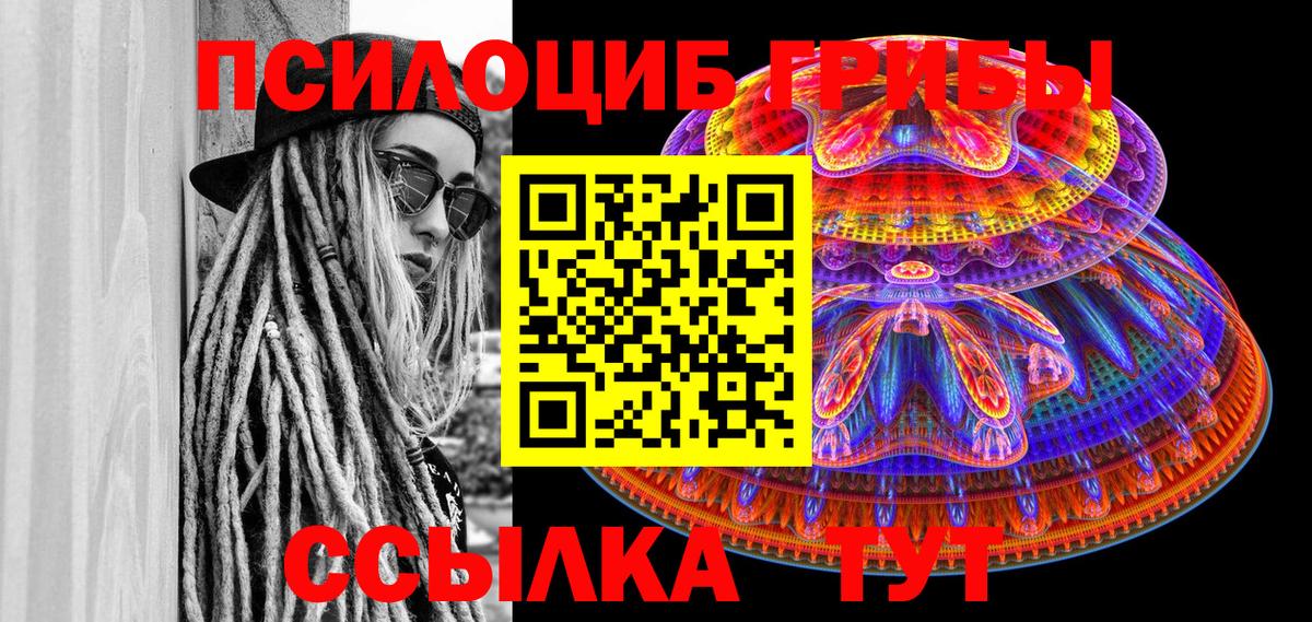 купить   Галлюциногенные грибы Magic Shrooms  Ревда  Псилоцибиновые грибы мицелий 