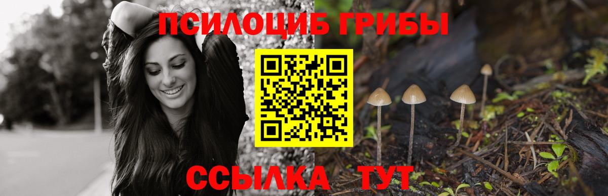 Псилоцибиновые грибы MAGIC MUSHROOMS Ревда